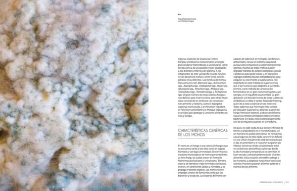Fermentar - Fundamentos y técnicas de un arte milenario