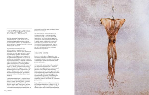 Fermentar - Fundamentos y técnicas de un arte milenario