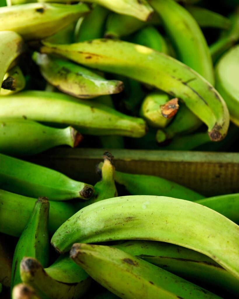 plátano macho
