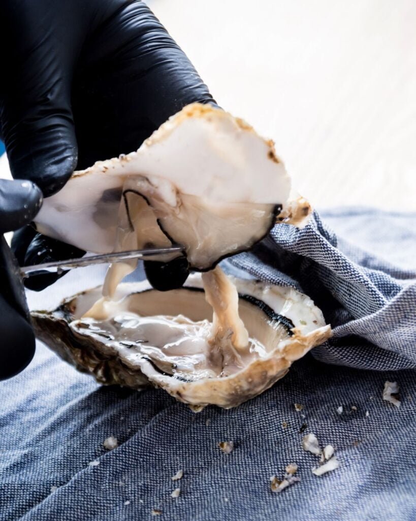 abreostras - menaje y utensilios de cocina