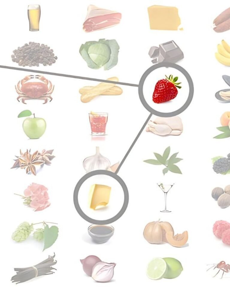 Redes de Sabores: Revolucionando el Foodpairing y el Maridaje de Alimentos