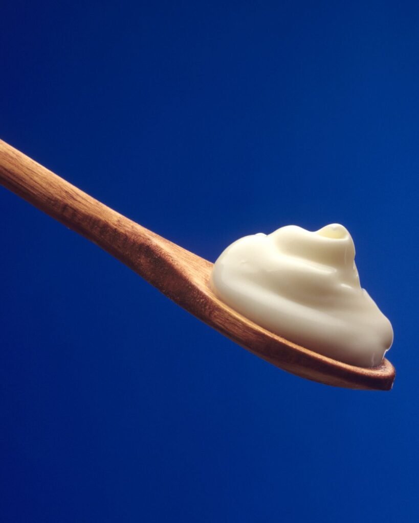 cómo se hace la mayonesa casera