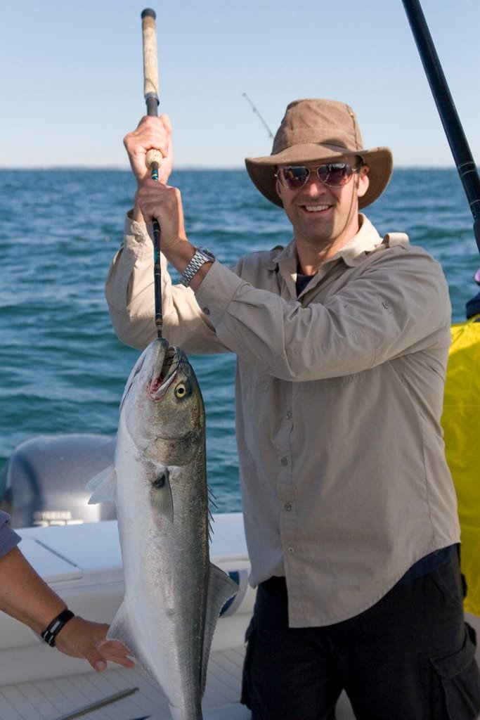 Carbonero pescado - Boston bluefish