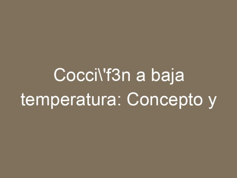 Cocción a baja temperatura: Concepto y Definición
