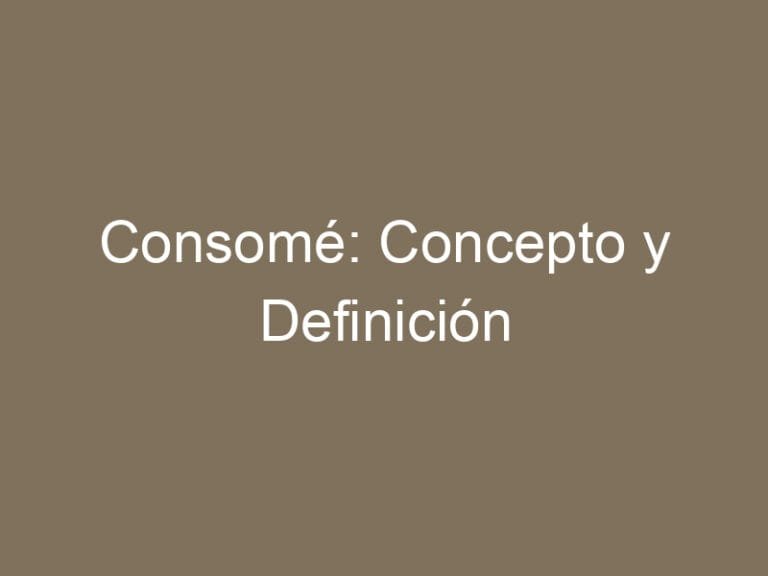 Consomé: Concepto y Definición
