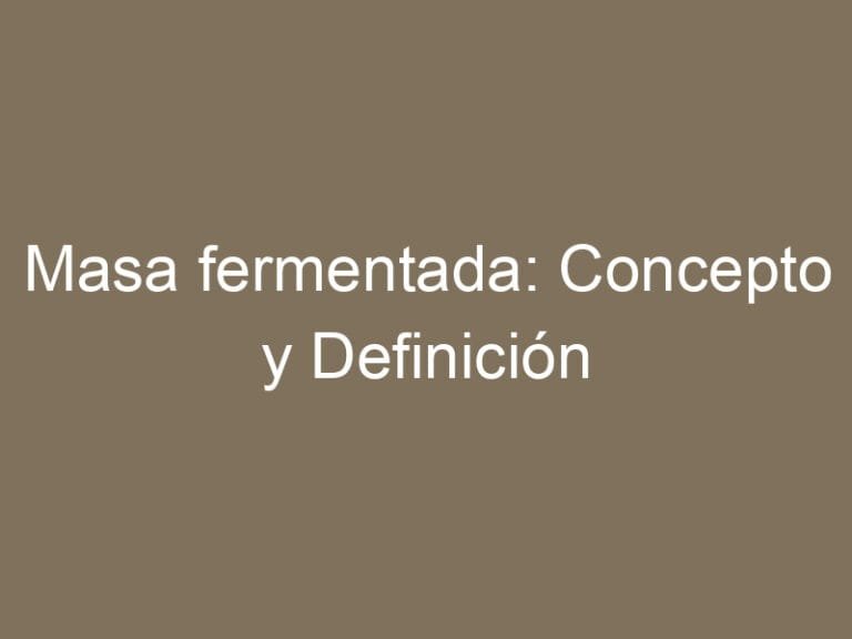 Masa fermentada: Concepto y Definición