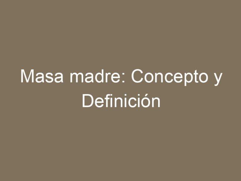 Masa madre: Concepto y Definición