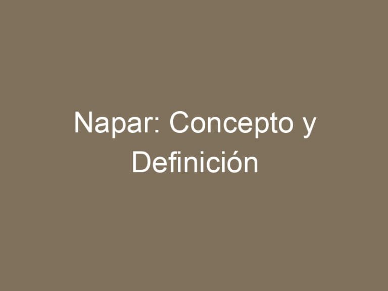 Napar: Concepto y Definición