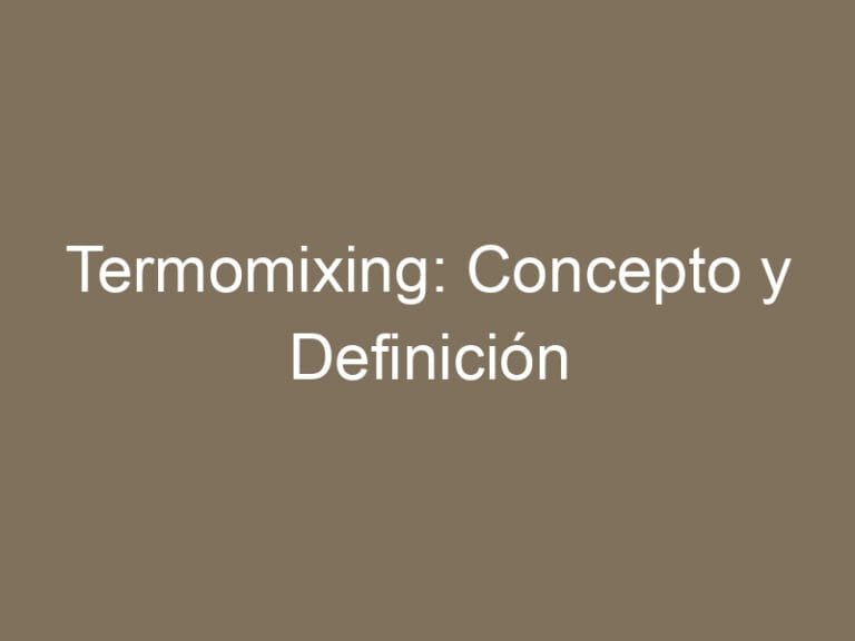 Termomixing: Concepto y Definición