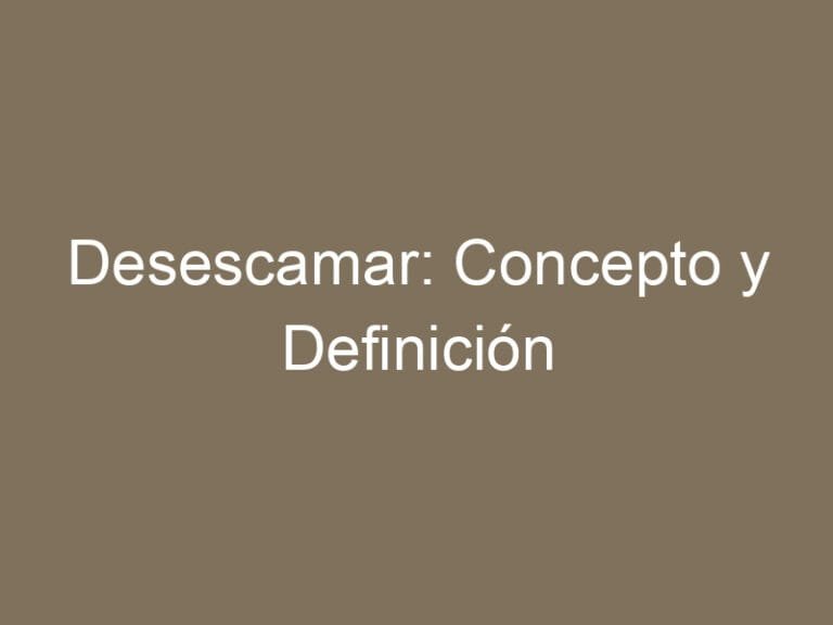 Desescamar: Concepto y Definición