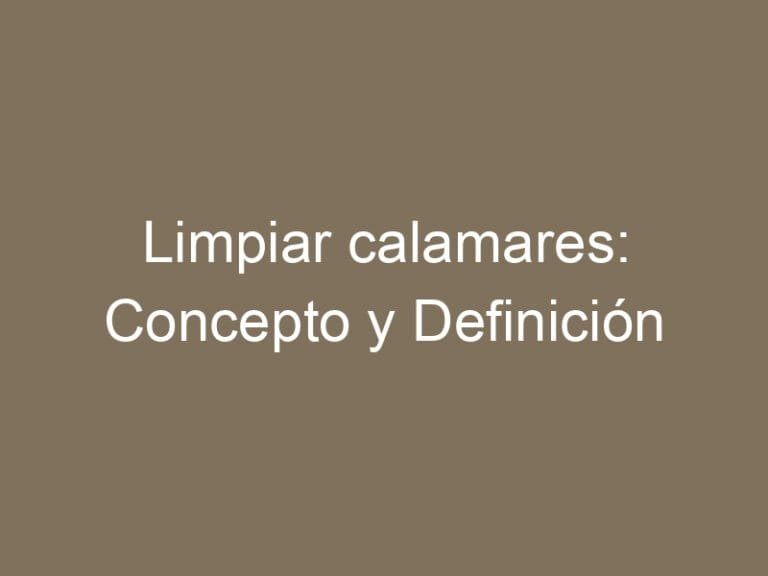 Limpiar calamares: Concepto y Definición