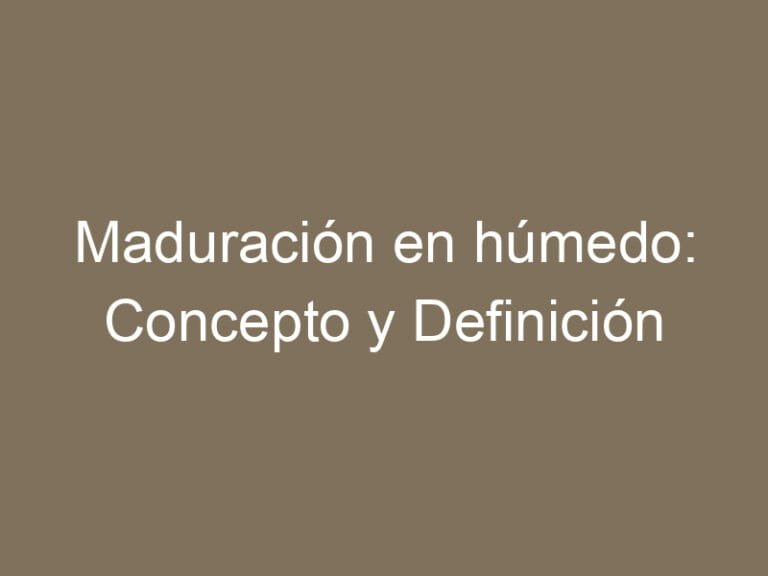 Maduración en húmedo: Concepto y Definición