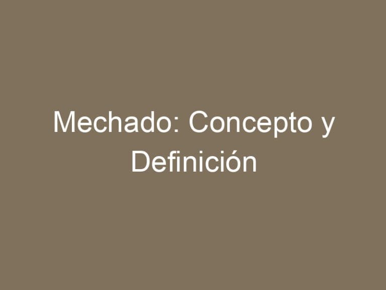 Mechado: Concepto y Definición