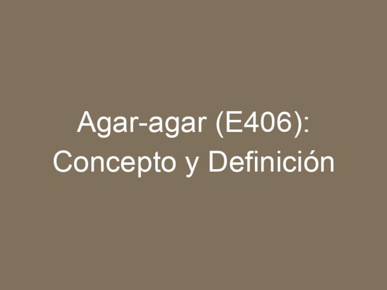 Agar-agar (E406): Concepto y Definición