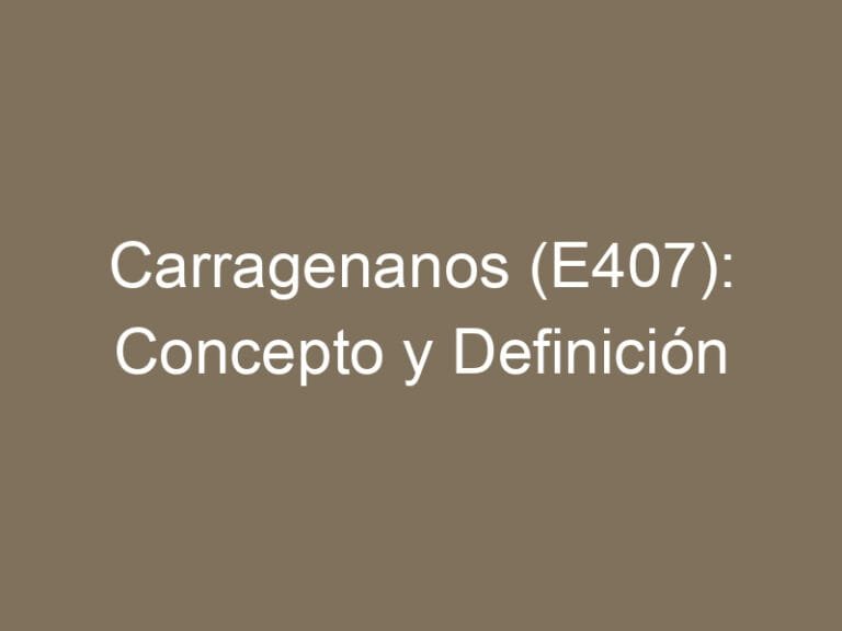 Carragenanos (E407): Concepto y Definición