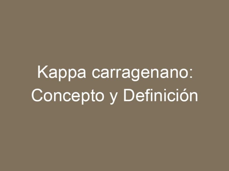 Kappa carragenano: Concepto y Definición