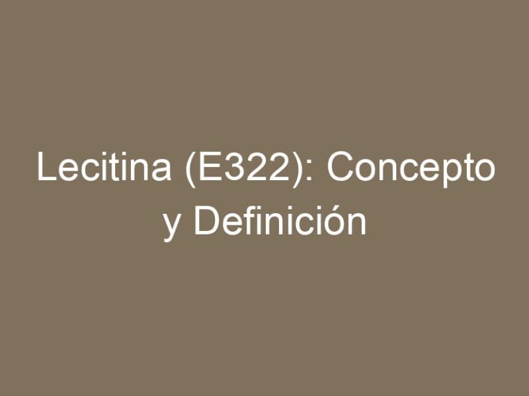Lecitina (E322): Concepto y Definición