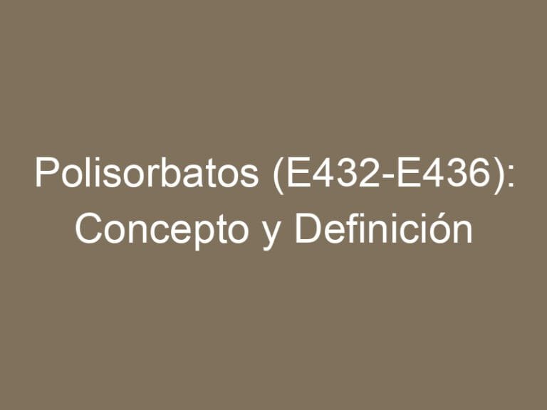 Polisorbatos (E432-E436): Concepto y Definición