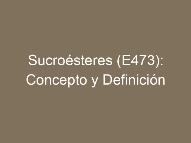 Sucroésteres (E473): Concepto y Definición